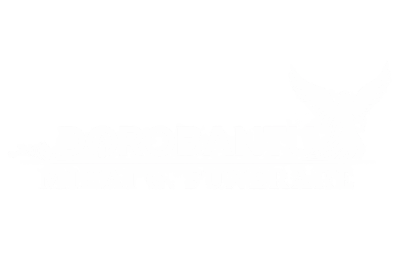 Servicii funerare Dorobanțu